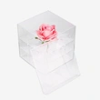 安いアクリルローズボックス、卸売透明プラスチックギフトフラワーボックス