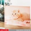 猫の写真ギフト用のアクリルブロック、安いアクリルブロック