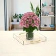 Wholesale Clear Storage Tray Acrylic Tray Organizer with Gold Handles