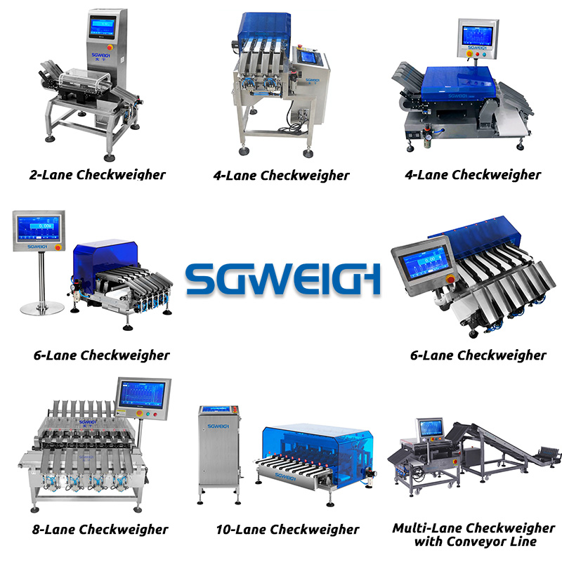multi-lane checkweigher model.jpg