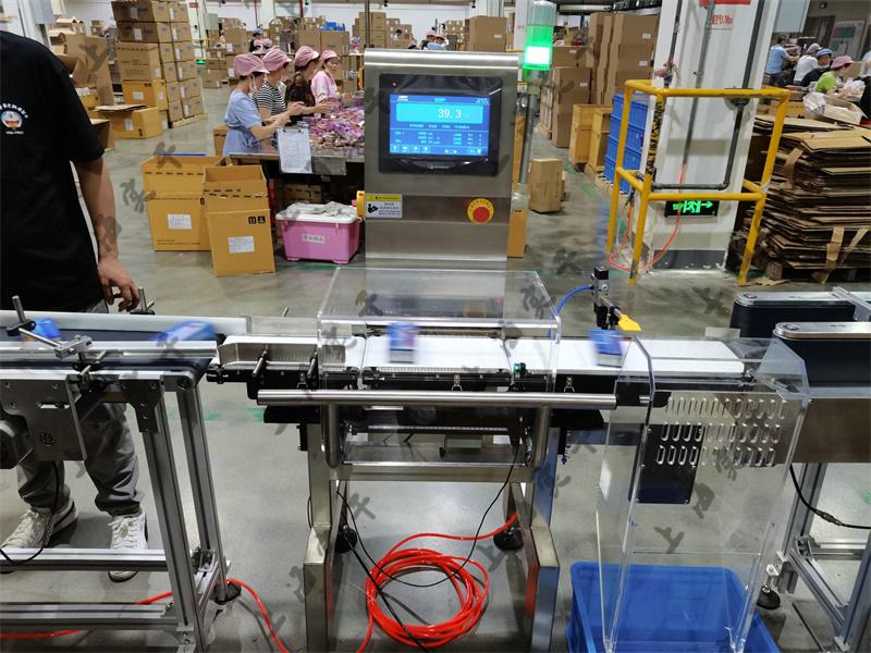 conveyor checkweigher system