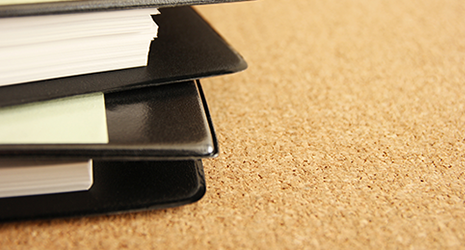 sistema de promoción de la rsc