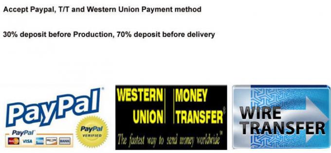 Fraises micro du carbure 0,2 millimètres, 2 fraises 2 de fraiseuse de revêtement de TiSiN de cannelure