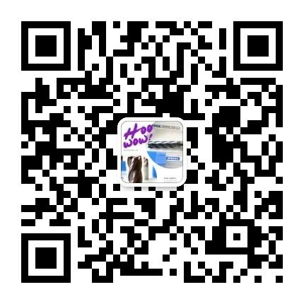 SiN Coating Corner Radius End Mill , HRC55 4 Flute Extra Long End Mill SGS 4