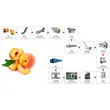Máquina de puré de melocotón, máquina de puré de albaricoque, máquina de puré de ciruela