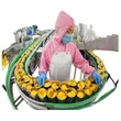 canned peach processing machine,fruit canning line