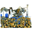 équipement de production d'ananas en conserve