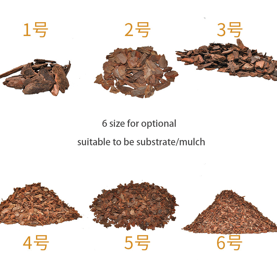 landscaping pine bark.jpg landscaping pine bark.jpg