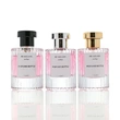 Frasco de perfume de 30ml 50ml 100ml