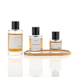 Flacon de parfum 30 ml 50 ml 100 ml