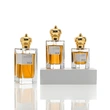 Frasco de perfume de 30ml 50ml 100ml