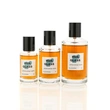 Frasco de perfume de 30ml 50ml 100ml