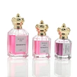 30ml 50ml 100ml perfume bottle