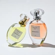 50ml perfume bottle