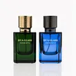 50ml perfume bottle