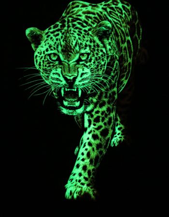 1633503132429635.jpg 2.jpg