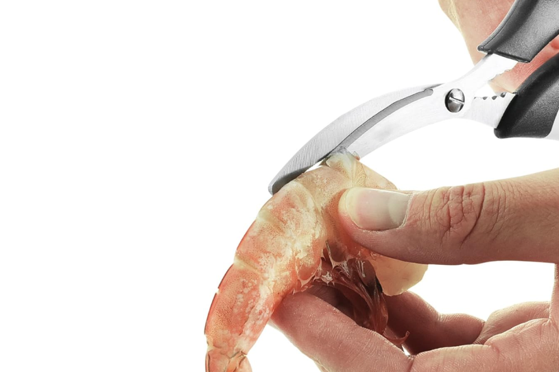 seafood scissors.png