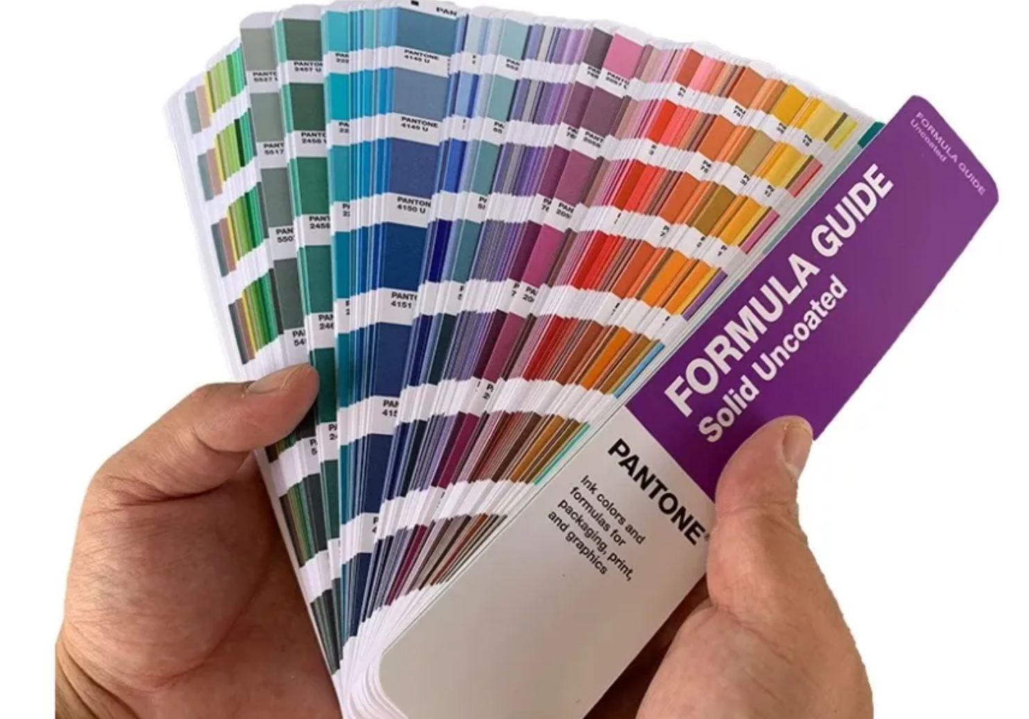 Top 10 colors in 2026 and the applications in kitchenware.png