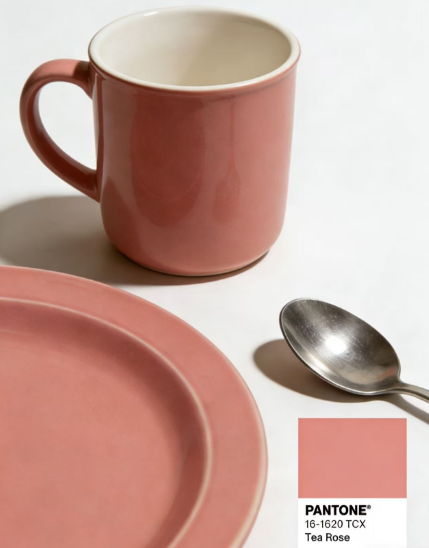 PATONE  16-1620 TCX.png