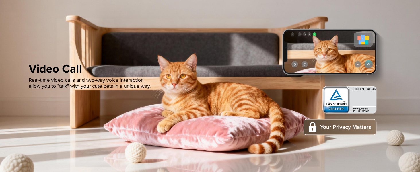 robot vacuum and mop