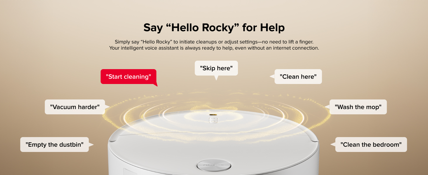 robot vacuum and mop