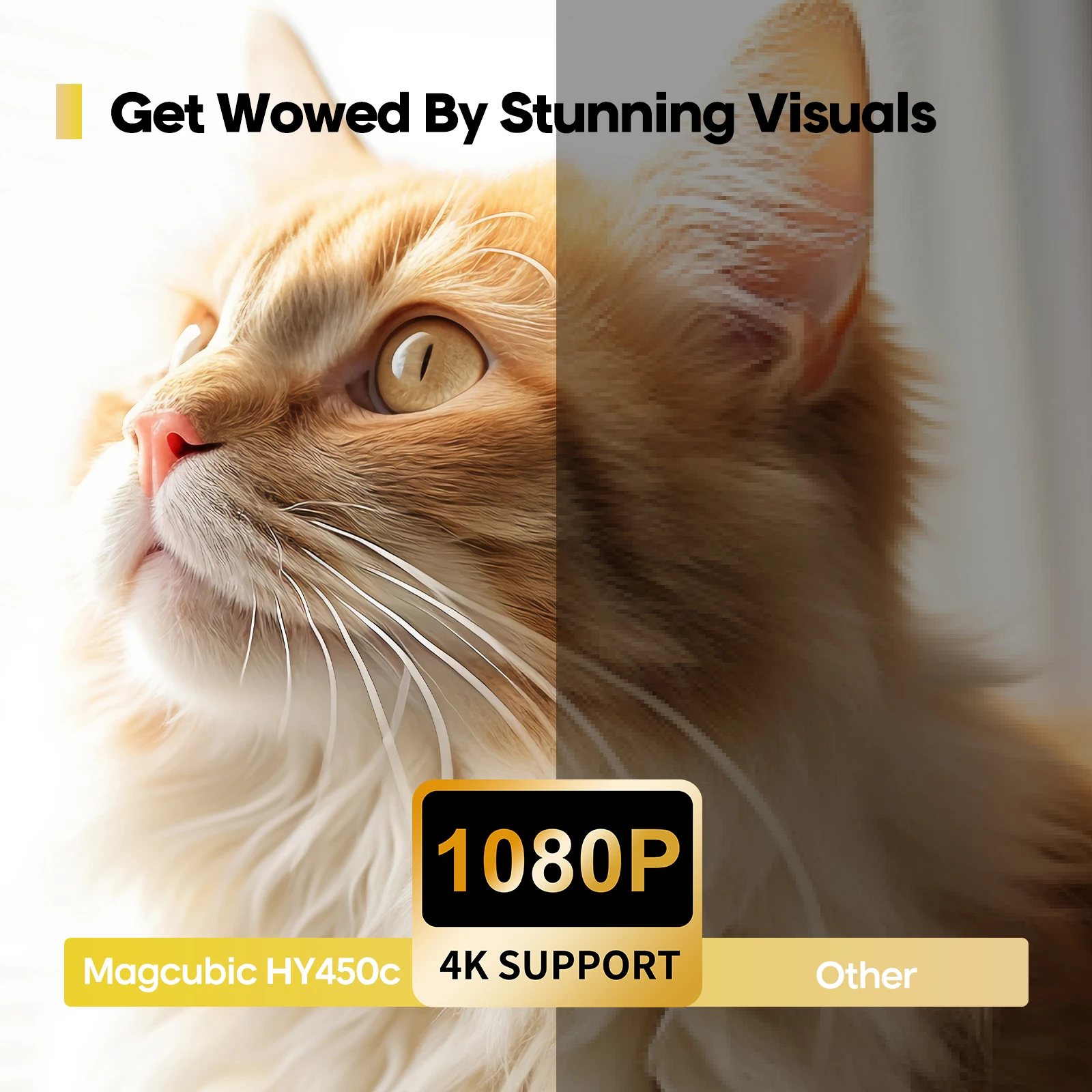 1787296838174001.webp