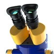 binocular stereo microscope