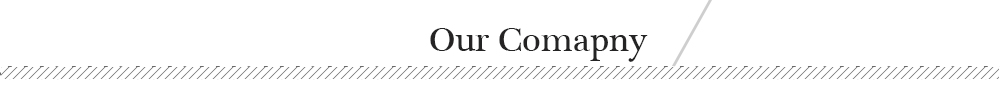 1787214605543177.jpg Company Profile.jpg