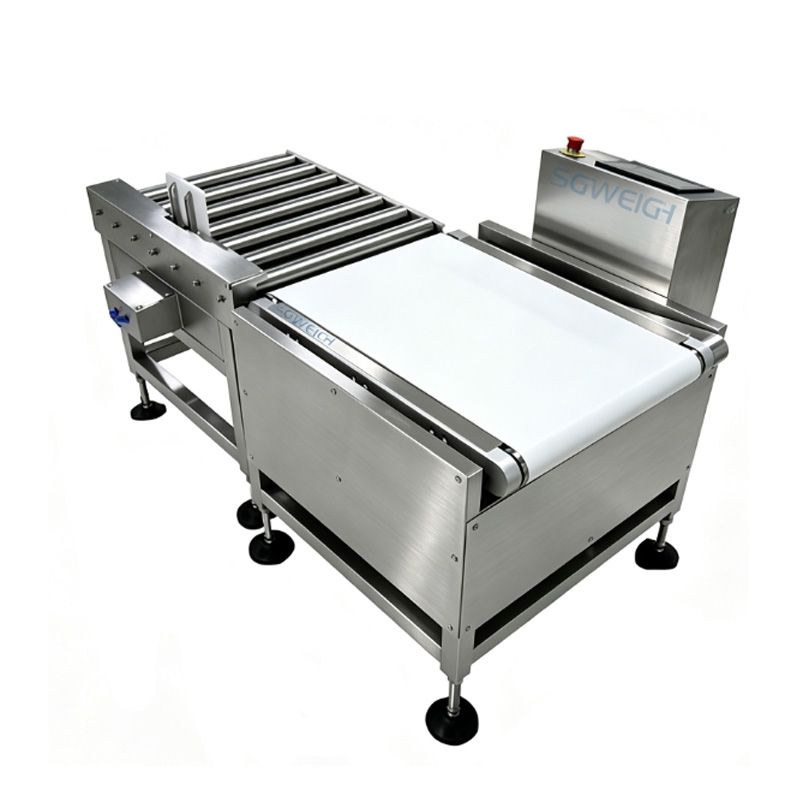 Carton Dynamic Checkweigher for Heavy-Duty Carton Dynamic Checkweigher for Heavy-Duty