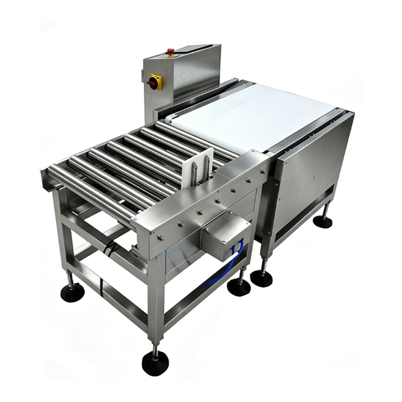 Dynamic Heavy-Duty Weight Checker Dynamic Heavy-Duty Weight Checker