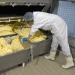 planta de producción de mantequilla de leche, máquina de producción de mantequilla de leche