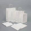 Custom Retail Bulk Disposable Shopping Paper Boutique Gift Paper Bag