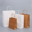 Custom Retail Bulk Disposable Shopping Paper Boutique Gift Paper Bag