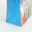 Happy Birthday Party Celebration Promotional Gift Paper Bag