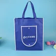 Reusable Foldable Shopping Travel Non Woven Tote Bags Grocery Bags