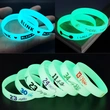 Promotional Glow in Dark Silicone Wristband Luminous Wristband