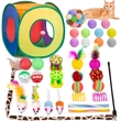 Cat Toys Assortment 33 PCS for Indoor Cats Kittens Kitty