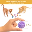 Cat Toys Balls with Catnip and Bell Inside for Cats Kittens Kitty