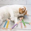 catnip cat toys for indoor cats kittens
