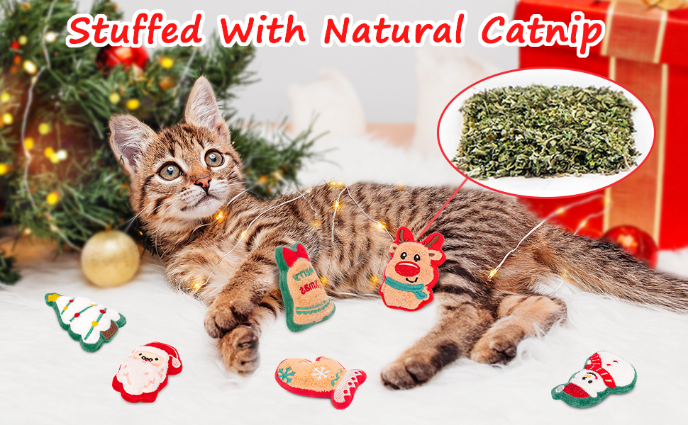 Christmas Cat nip Toys.jpg