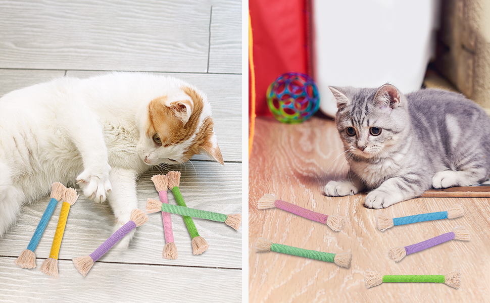 Cat Toys.jpg