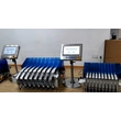 Multi-Line Sachet Checkweigher Multi-Channel High-Efficient 6-line Check Weigher