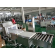 Combo System Metal Detector + Check Weigher