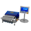 High Accuracy Multi-Lane Stick Granule Coffee Checkweigher 2-10 Lines Weight Checker