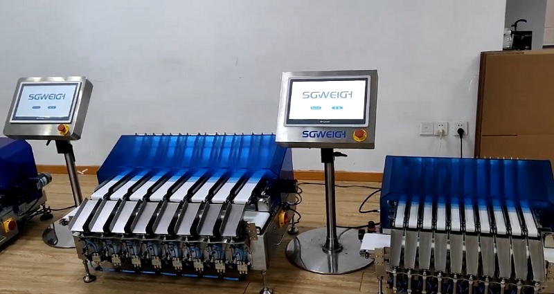 High Precision Dynamic Multi Lane Check Weigher Connect with Packing Machine