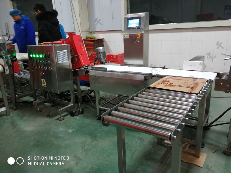 5kg-25kg Automatic Carton Box Checkweigher Weight Checker for Packaging Line