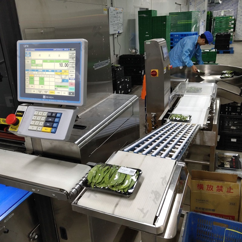 Check Weigher Machine