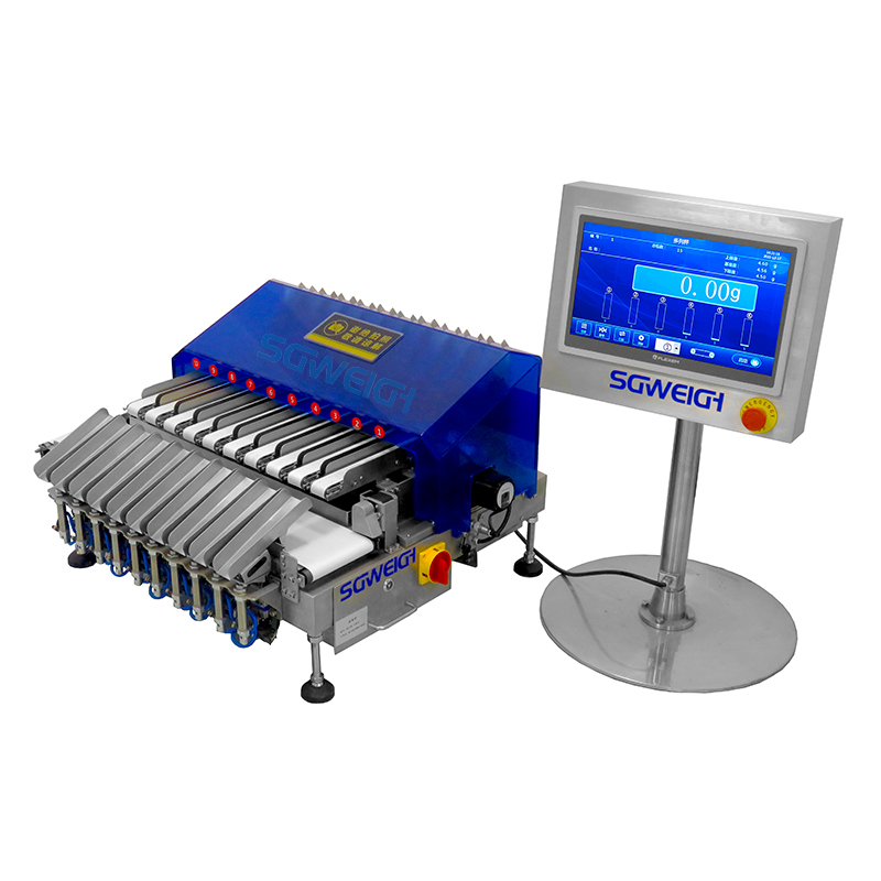 Multi-Conveyor Line Weighing Scale