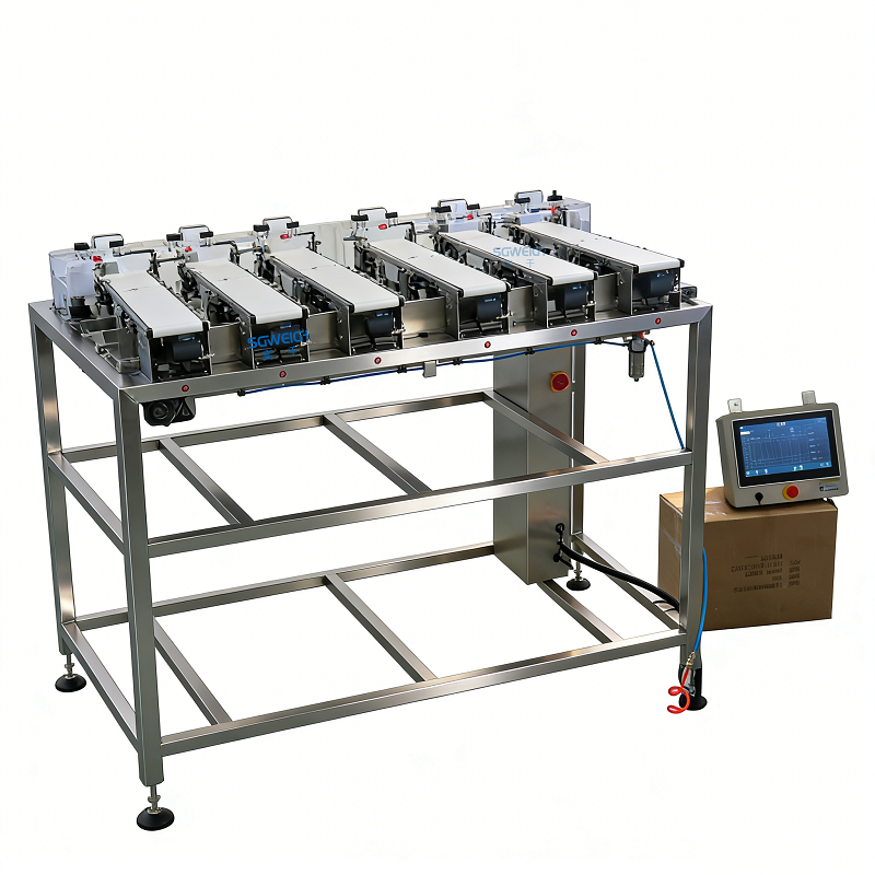 Checkweigher (2-8 lines)