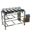 6-Lane Stick Pack Industrial Checkweigher for High-Speed Multilane Packaging